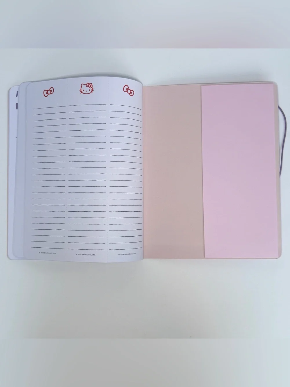 Sanrio Hello Kitty 17-month 2026-2027 Slim Thin Planner (HKF Classic Blush Pink)
